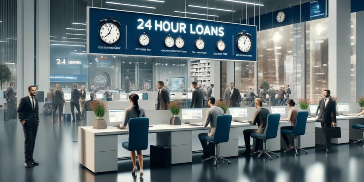 24-Hour Loan Insights